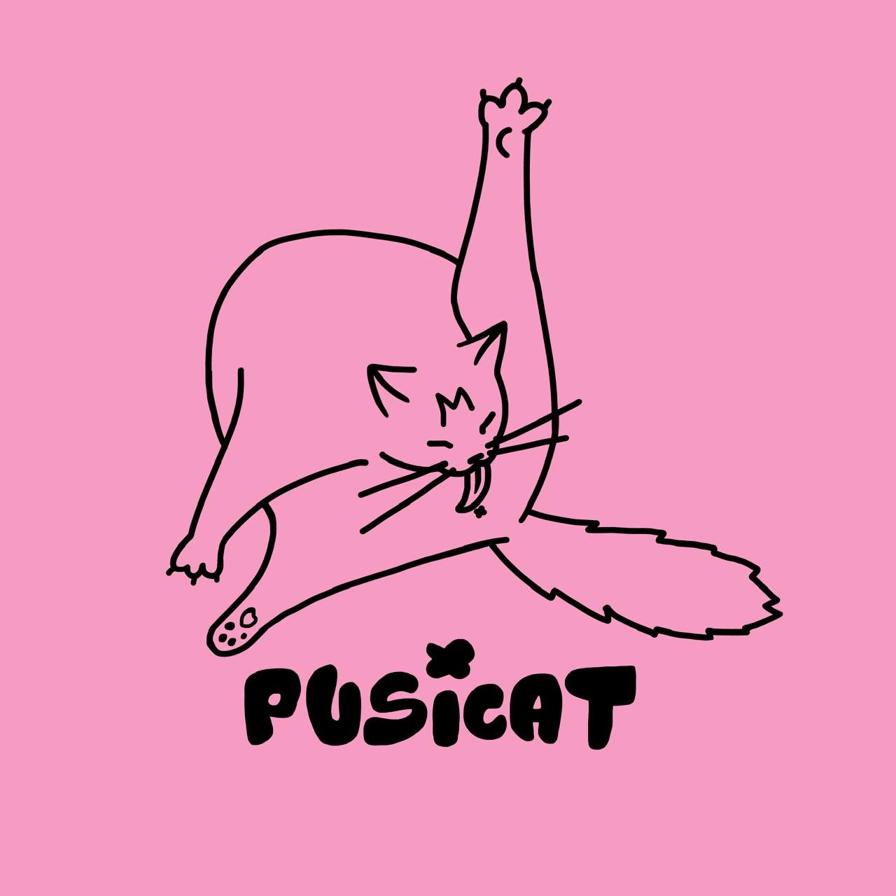 Pusicat